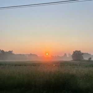 Meet your Posher, Abbie